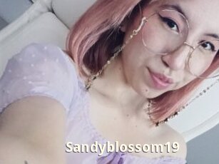 Sandyblossom19