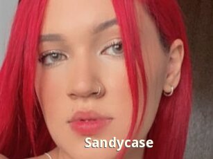 Sandycase