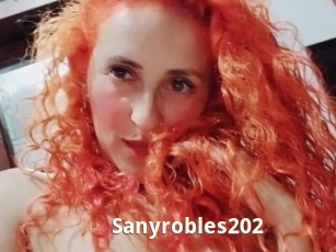 Sanyrobles202