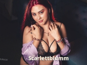 Scarlettblumm