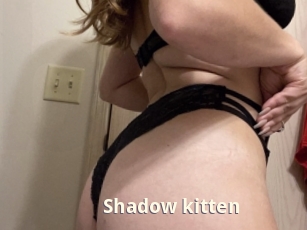 Shadow_kitten