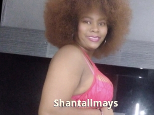 Shantallmays