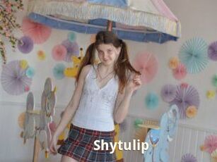 Shytulip