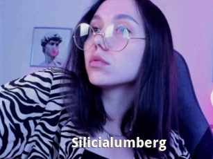 Silicialumberg