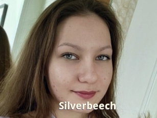 Silverbeech