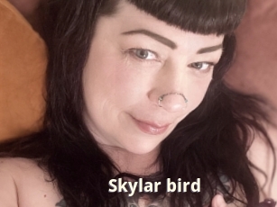 Skylar_bird