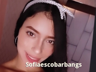 sofiaescobarbangs Bigtitinvasion