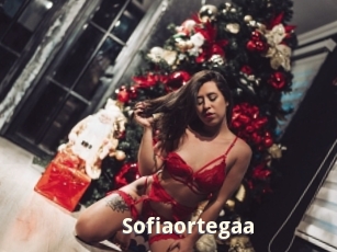 Sofiaortegaa