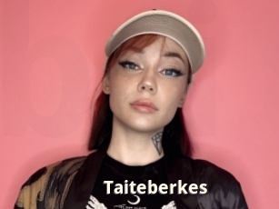 Taiteberkes