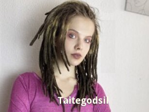 Taitegodsil