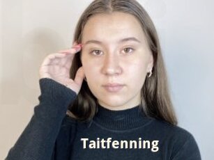 Taitfenning