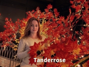 Tanderrose