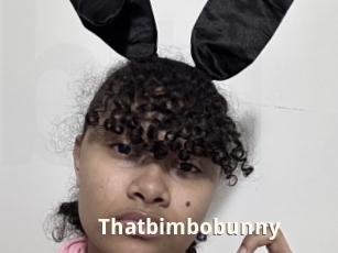 Thatbimbobunny