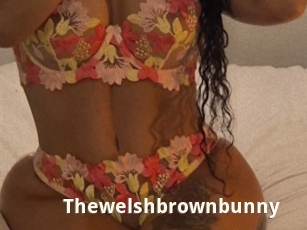 Thewelshbrownbunny