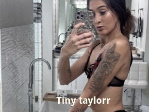 Tiny_taylorr