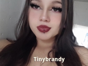 Tinybrandy