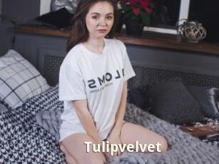 Tulipvelvet