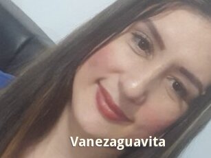 Vanezaguavita