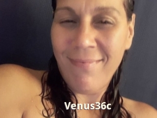 Venus36c