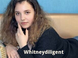 Whitneydiligent