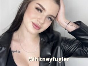 Whitneyfugler