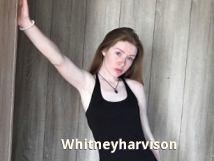 Whitneyharvison