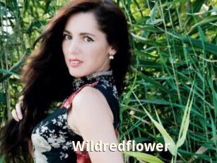 Wildredflower