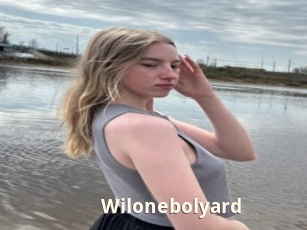 Wilonebolyard