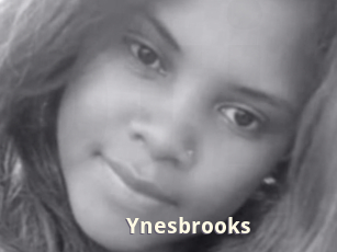 Ynesbrooks